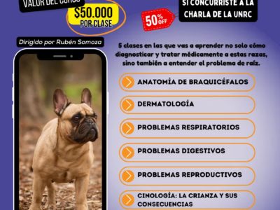 ¡Nuevo Curso de Especialización en Razas Braquicefálicas! Domina el manejo clínico integral